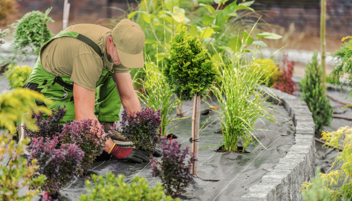 Paysagiste en Sarthe : créez le jardin de vos rêves avec Alcéa Eco-paysage